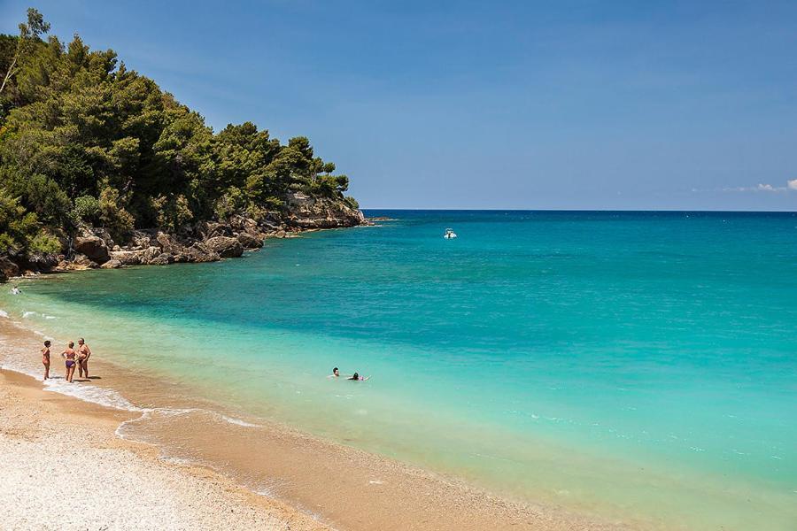 Villa Alessandro Castellammare del Golfo Bagian luar foto