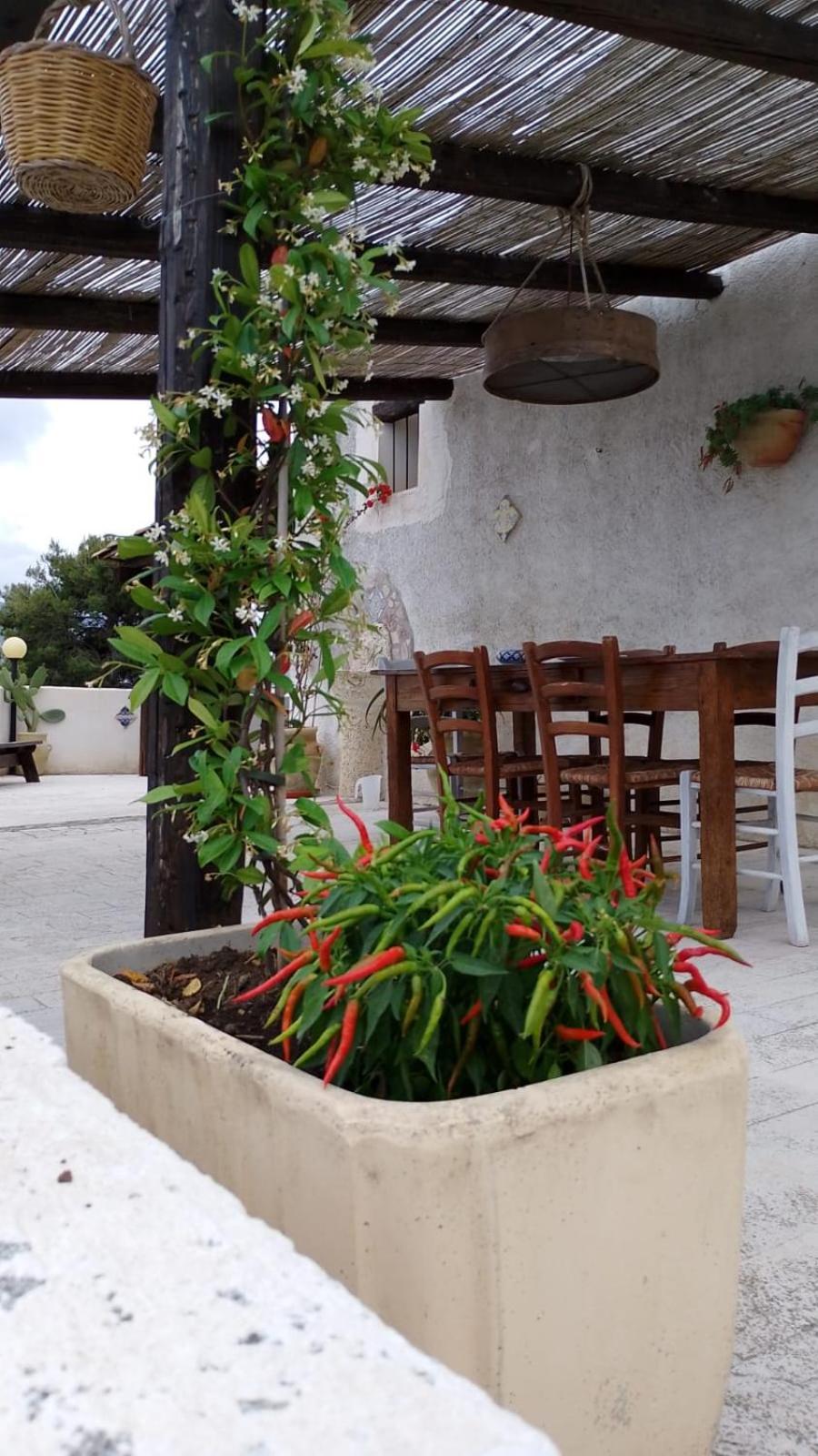Villa Alessandro Castellammare del Golfo Bagian luar foto